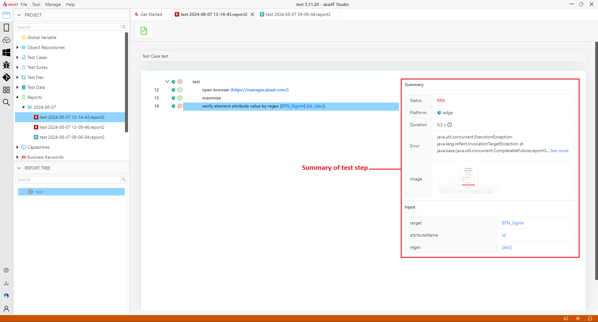 Test case's report