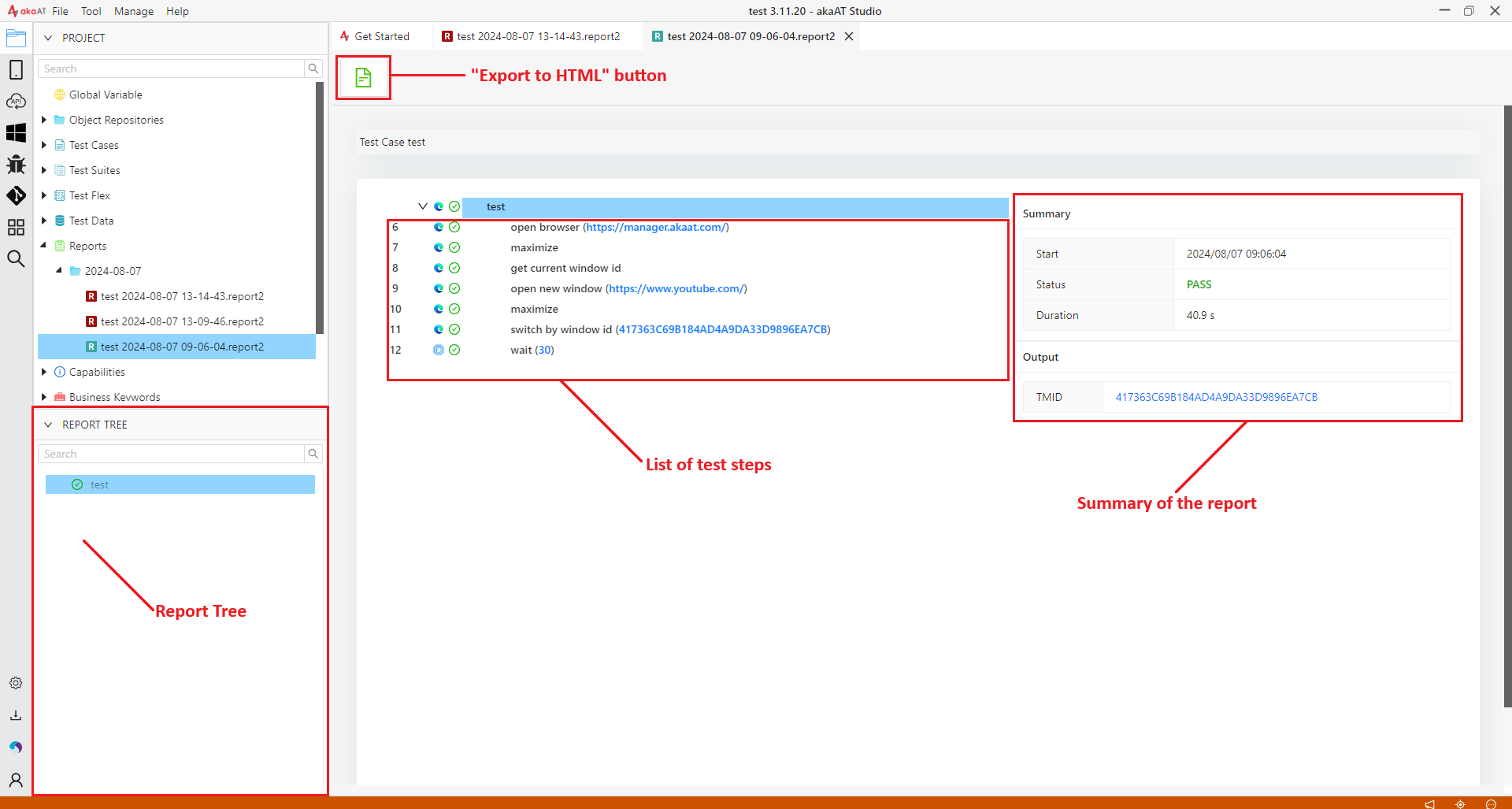 Test case's report